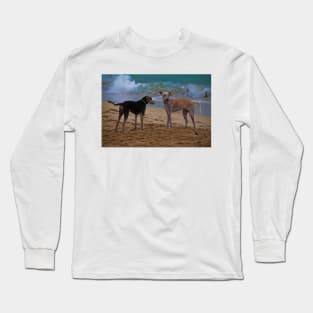Panama. Bocas del Toro. Red Frog Beach. Two dogs. Long Sleeve T-Shirt